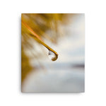 Fine Art Nature Photography by Maxwell Alexander – Canvas Print