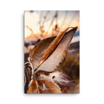 Fine Art Nature Photography by Maxwell Alexander – Photo Print